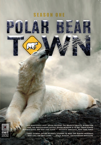 END OF YEAR SALE: Buy Polar Bear Town Seasons 1 and 2 and get one free!