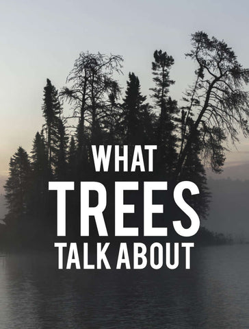 What Trees Talk About – Educational License